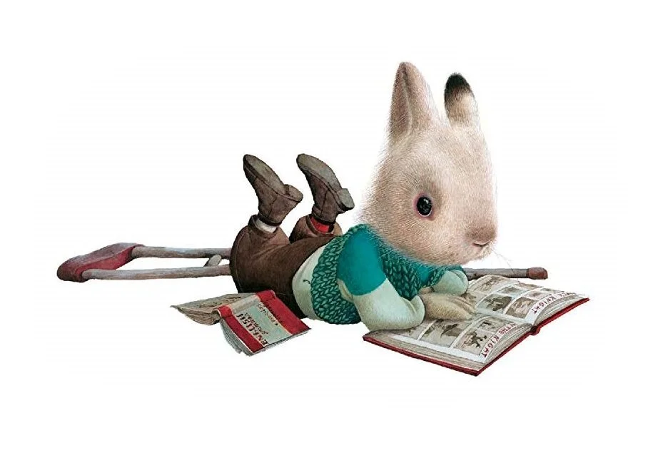 Corso Webinar Libricini®Spiritualità Bambina-Albi illustrati 0/16+