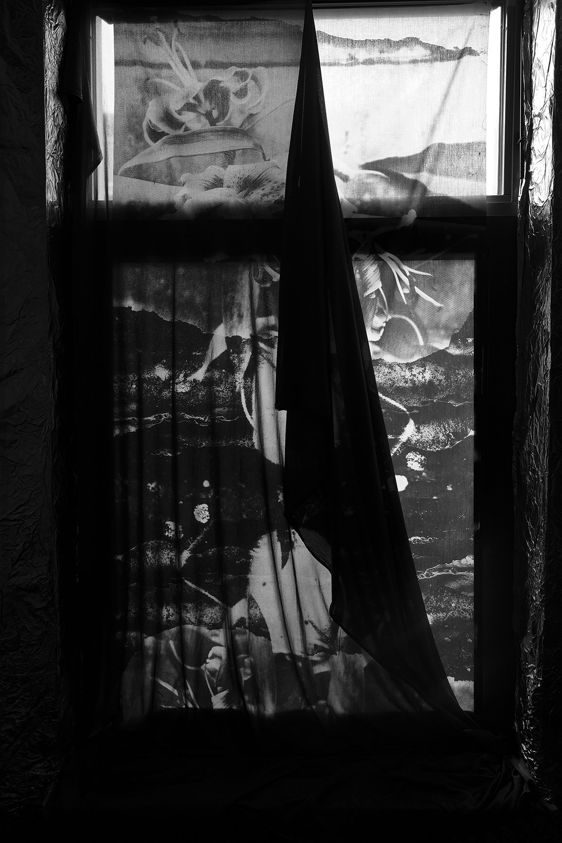 from Sue Casa series-3 ©Susan Zadeh photography exhibition at the new Nazraeli show room Los Angeles 2025
