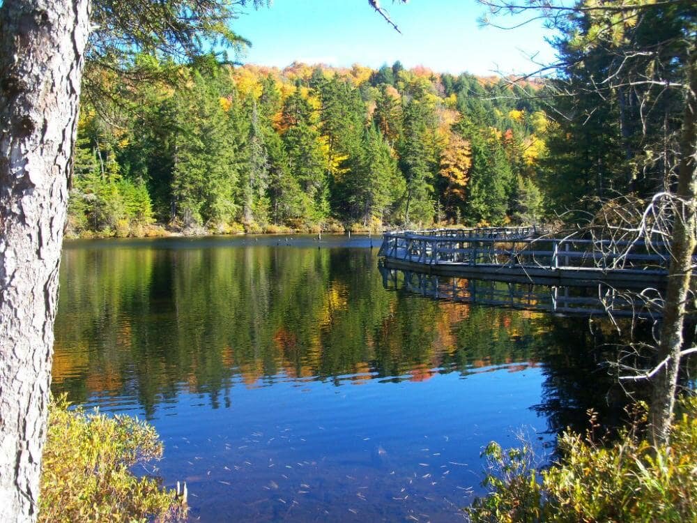 park-eco-laurentides.jpeg