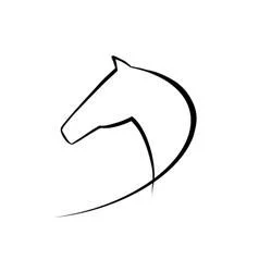 Kinetic Equine Massage