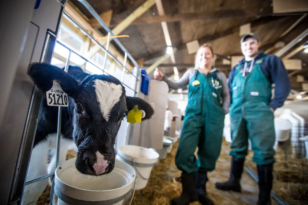 About — Indiana Veal