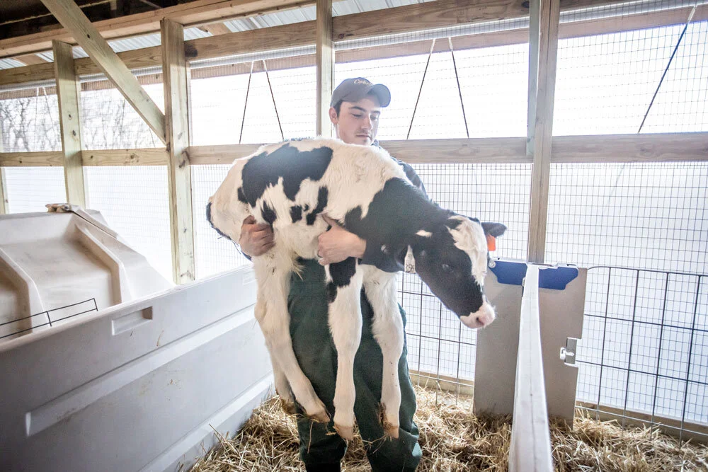 About — Indiana Veal