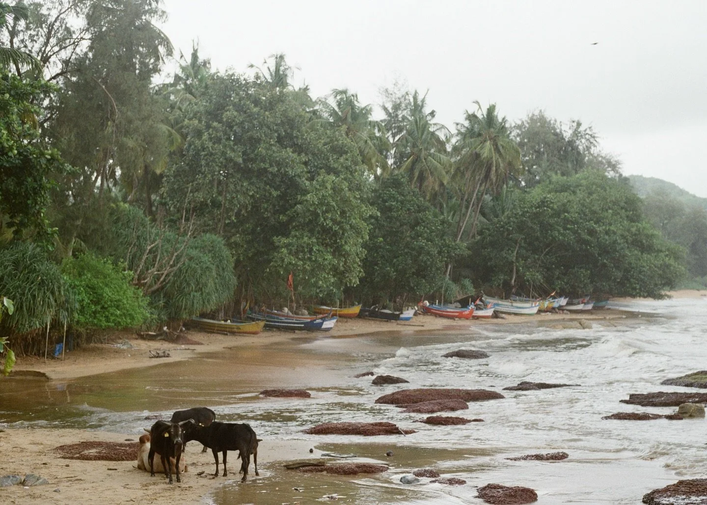 mooving in shore
.
.
.
.
.
.
#indiatravel #india #incredibleindia #travelphotography #indiatourism #indiapictures #travelblogger #wanderlust #indiaclicks #nature #photography #indiaphotography #ig  #indianphotography #instagram #travelling #instagood