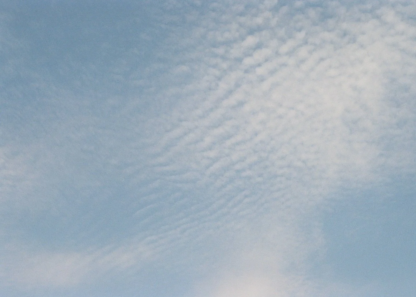 wrinkled skies
.
.
.
you ever look up at the sky and just feel old?
.
.
.
.
#sky #skyblue #skyphotography #aerialphotography #viewfrombelow #air #bluesky #fineartphoto #wallart #wrinkles #realskies #filmphoto #analoguegram #hungarian #skyonfilm #fine