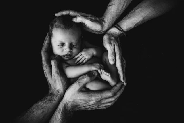 December 11 – 14, 2025 In-person Womb Surround Retreat in Cotati, CA