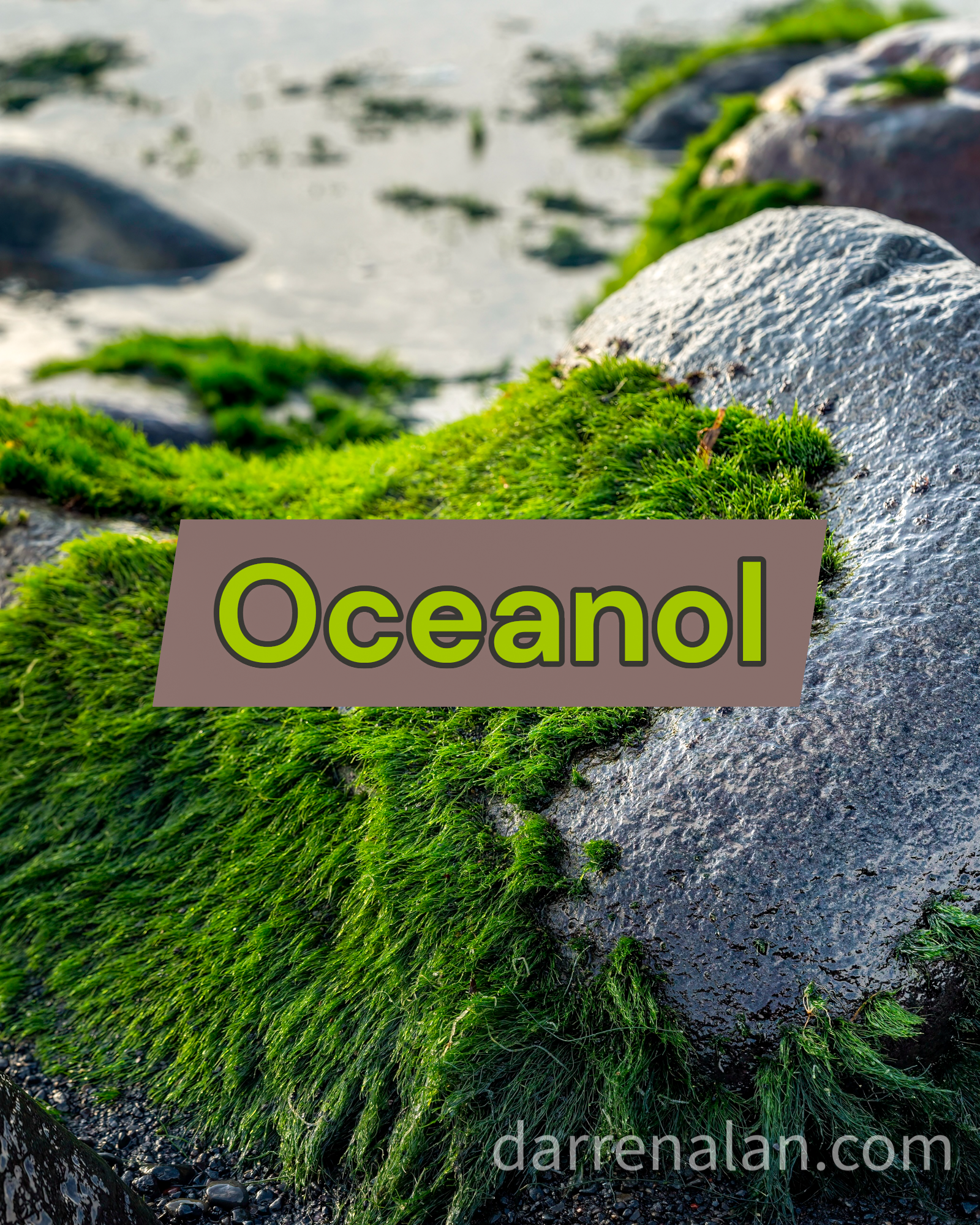 Oceanol Gallery2 Darren Alan Perfumes.PNG