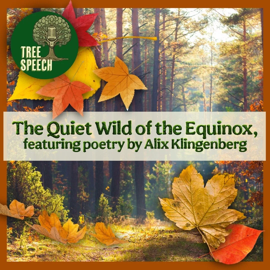 In our latest episode of Tree Speech we celebrate the Autumnal Equinox, guided and inspired by the poetry of @alixklingenberg, whose evocative work helps us consider the tenderness of transition and change. 

@doritellsastory and @jonathanzautner als