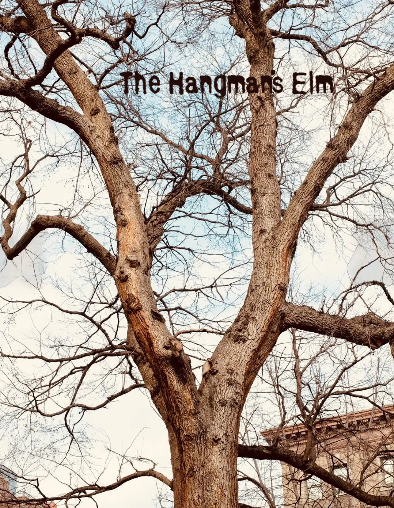 Beware the Hangman&rsquo;s Elm 
Our second new story this episode is about New York&rsquo;s most haunted tree - the Hangman&rsquo;s Elm of Washington Square Park. It&rsquo;s crooked branches tell a sinister legend&hellip;