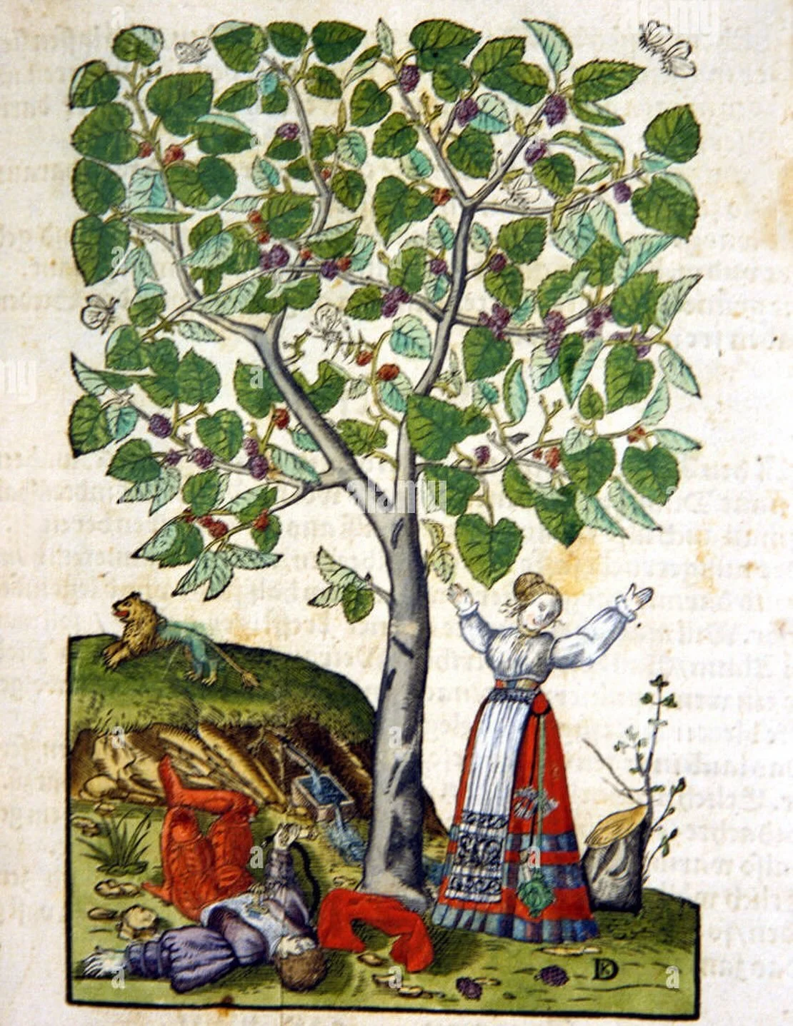 &ldquo;Moonlight and Mulberry&rdquo; is a new story in our yearly tradition of telling spooky tree tales. 
 Beneath a quiet mulberry tree, two forbidden lovers sealed their fate. Their story still bleeds through the mulberries&hellip;  Even love has 