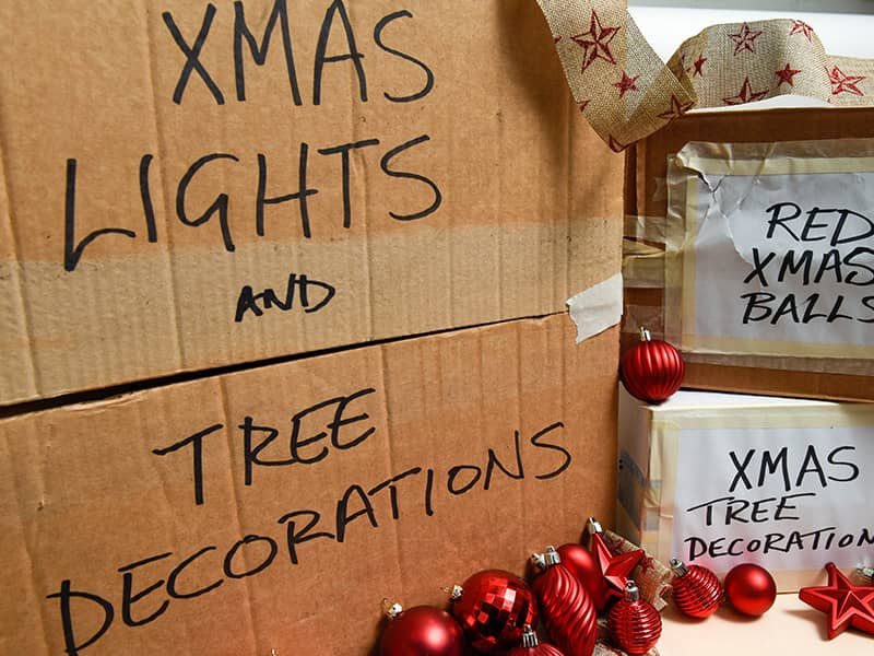 When Mice Sneak Into Your Holiday Decorations: A Maine Homeowner’s Guide