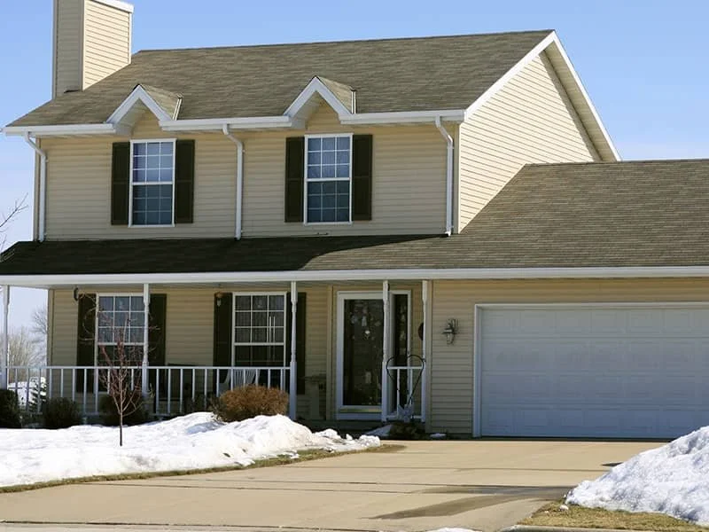 When Do Maine Pests Wake Up? What Homeowners Can Expect This Spring