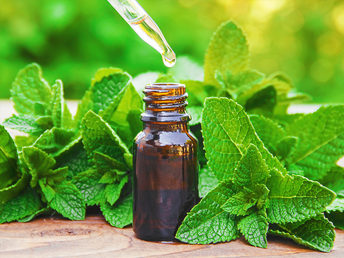 Does Peppermint Oil Keep Mice Away? Pros & Cons Of DIY Rodent Control