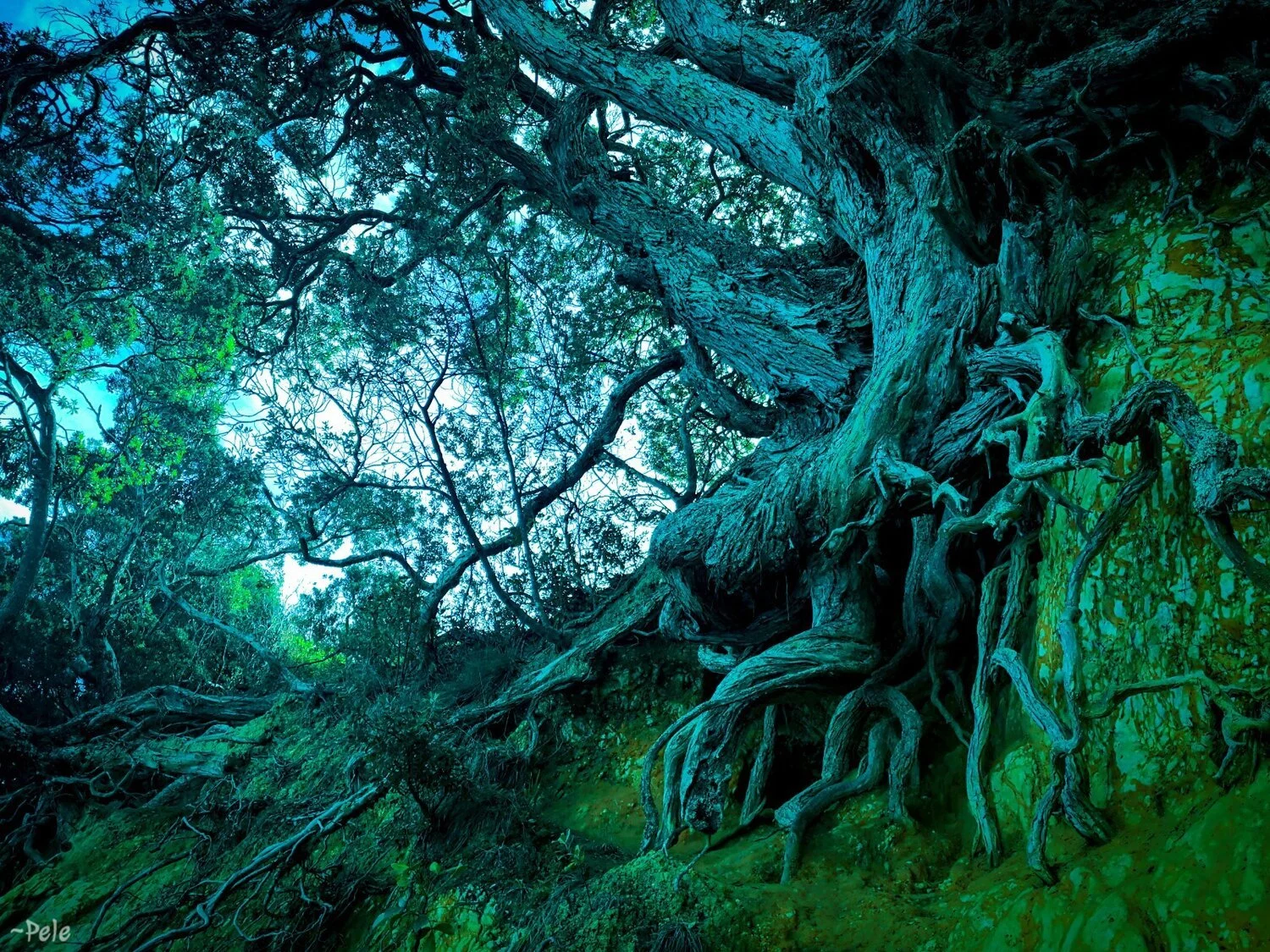 כי הטבע הוא אלהים