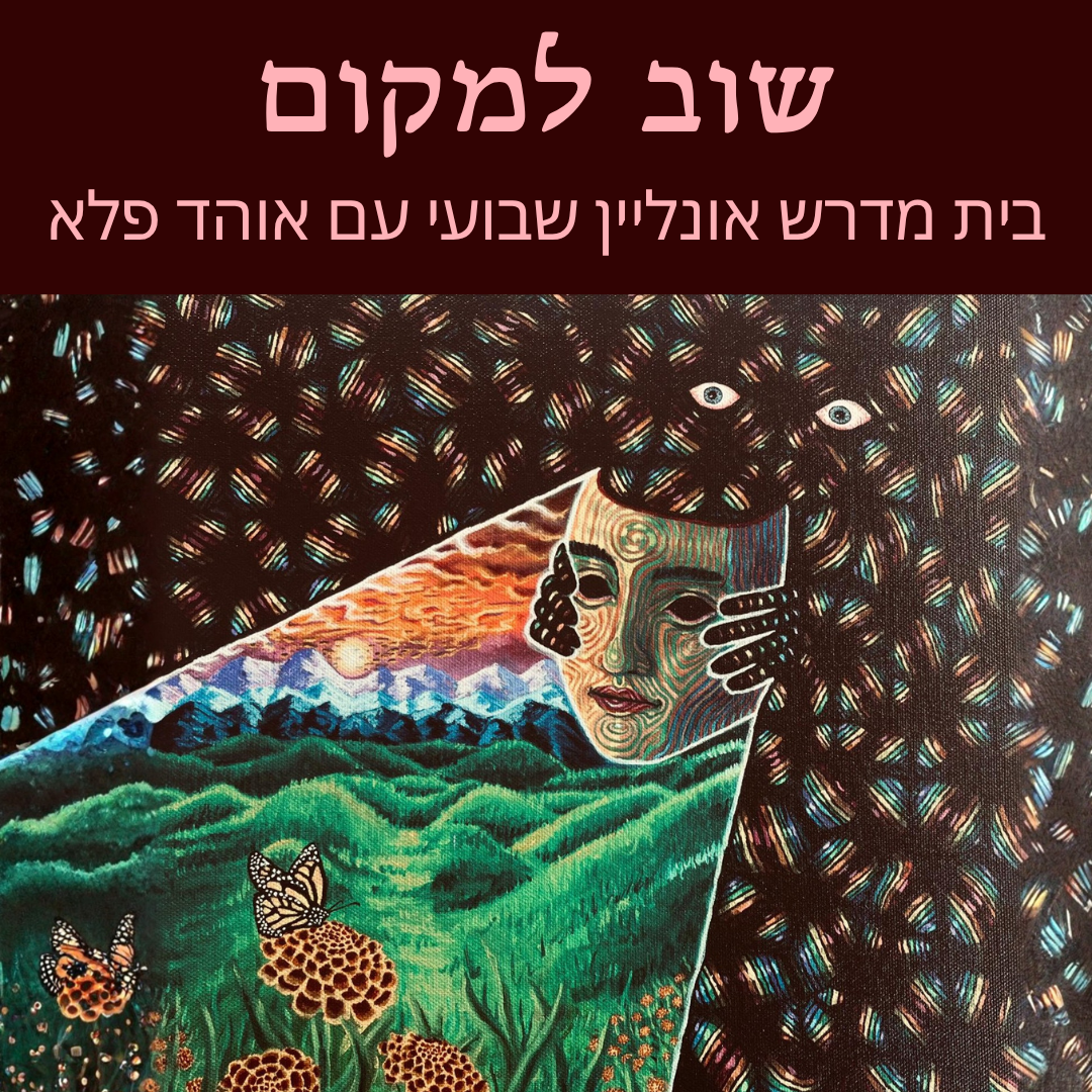 שוב למקום