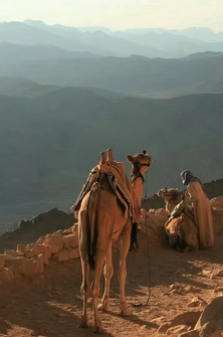 Screenshot 2026-04-21 at 14.50.06.png