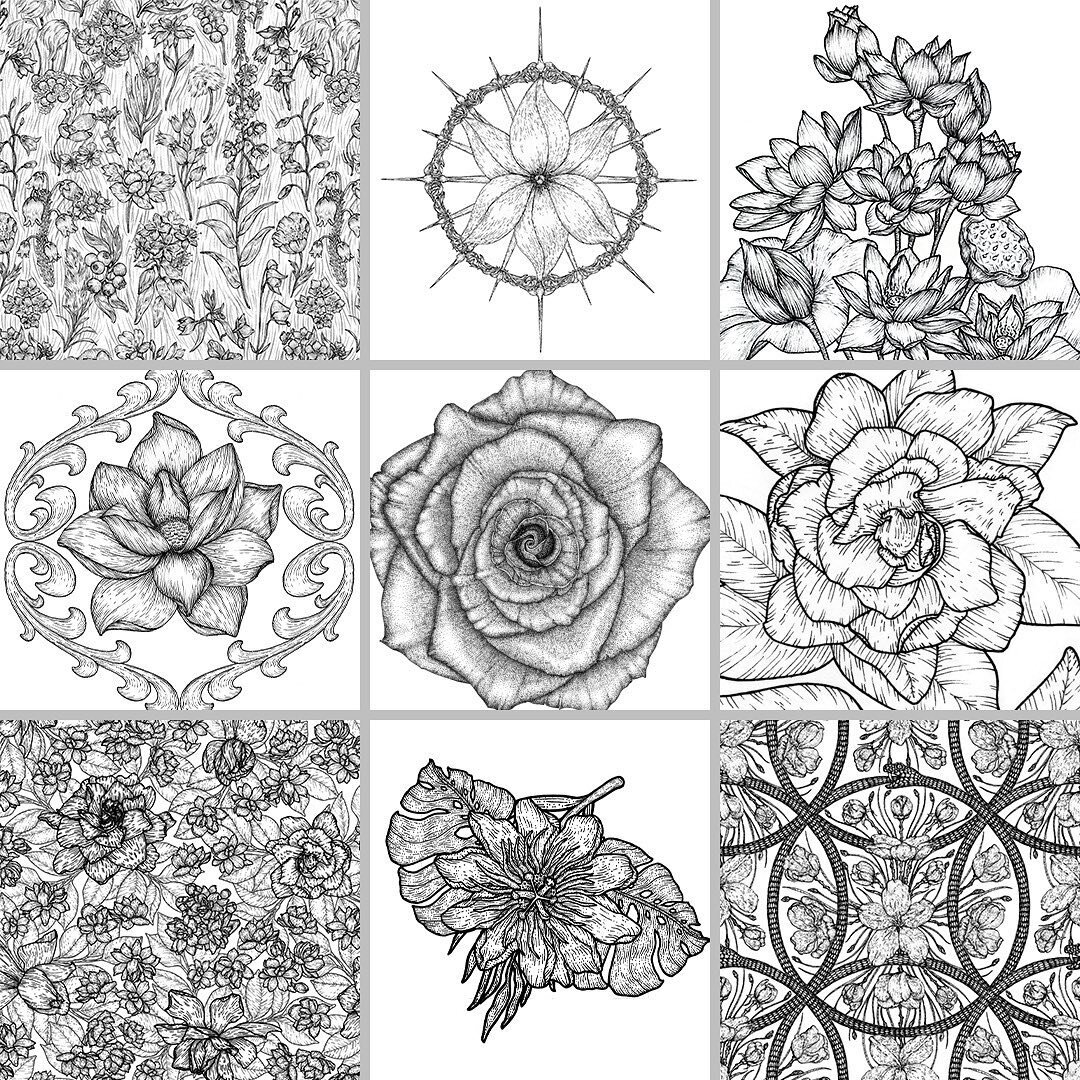 &ldquo;Florals? For spring? Groundbreaking.&rdquo; 🌻
.
Details of botanically inspired ink illustrations.
.
#inkdrawing #illustration #botanicalart #surfacepatterndesign #surfacespatterns #artlicensing #traditionalillustration #drawingofinstagram  #