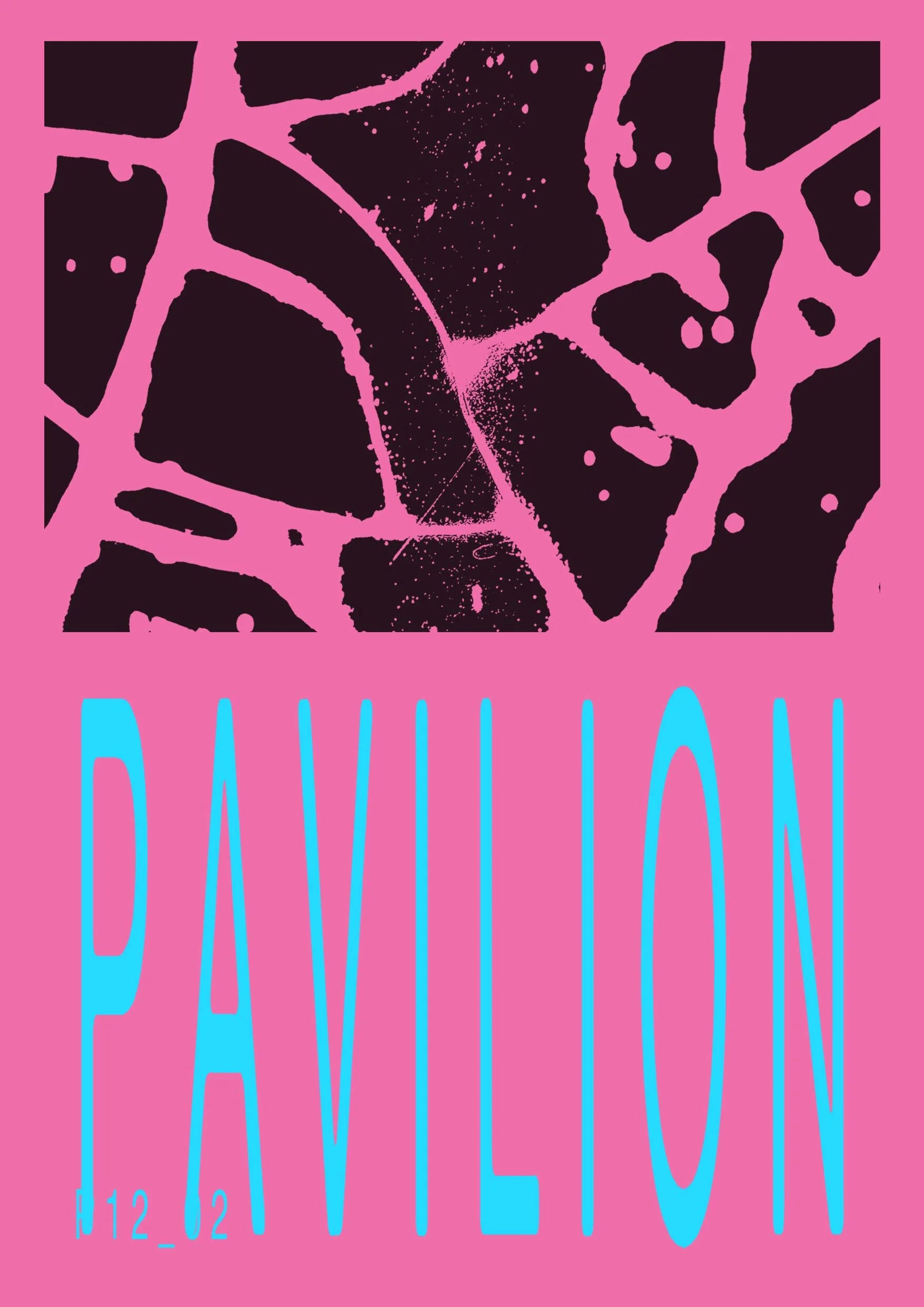 pavilionPattern.jpg