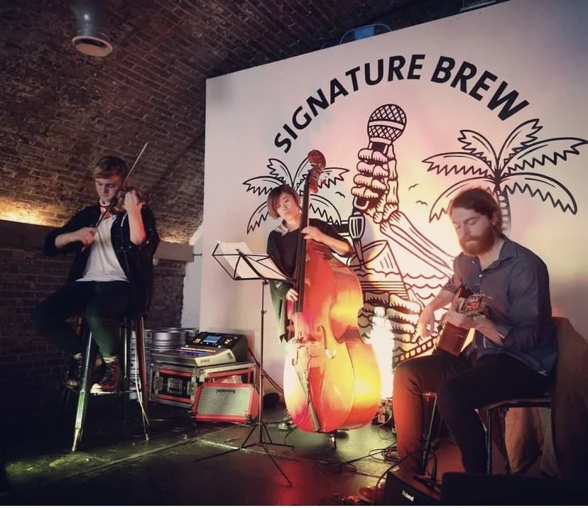 LIVE JAZZ &amp; BLUES - Skylark Trio. 4-7pm