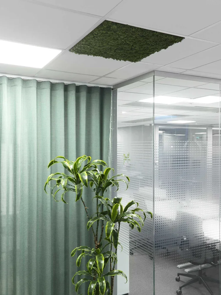 Ceiling_Acoustics_Moss_ScandinavianSpaces_EnvironmentImage_2.webp