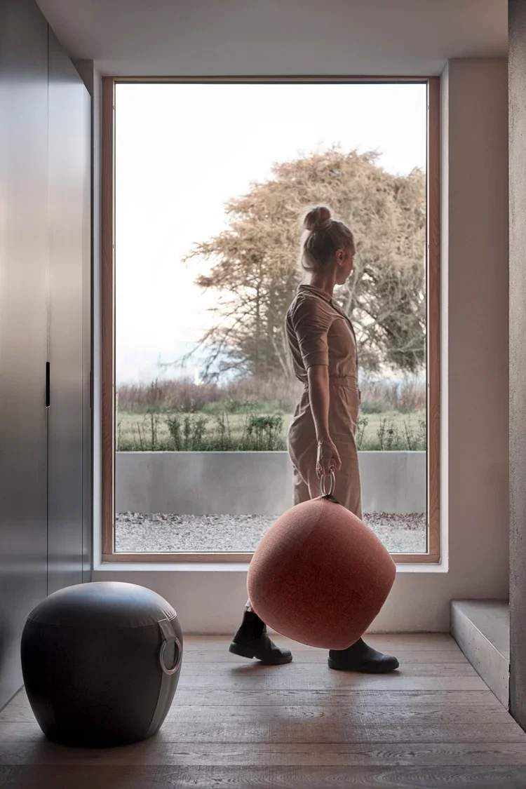 Scandinavian Spaces Pucca