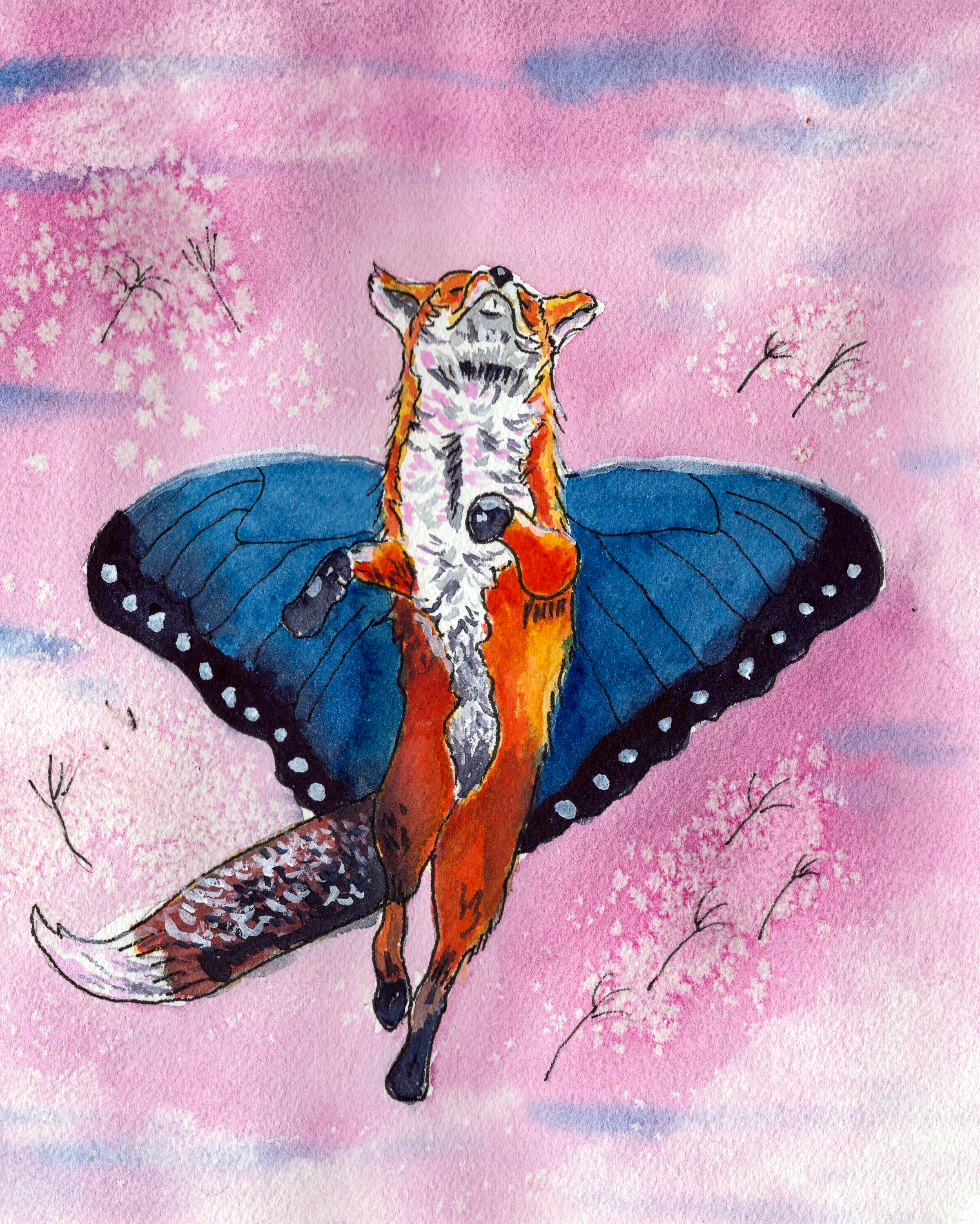 butterfly fox 8x10.png