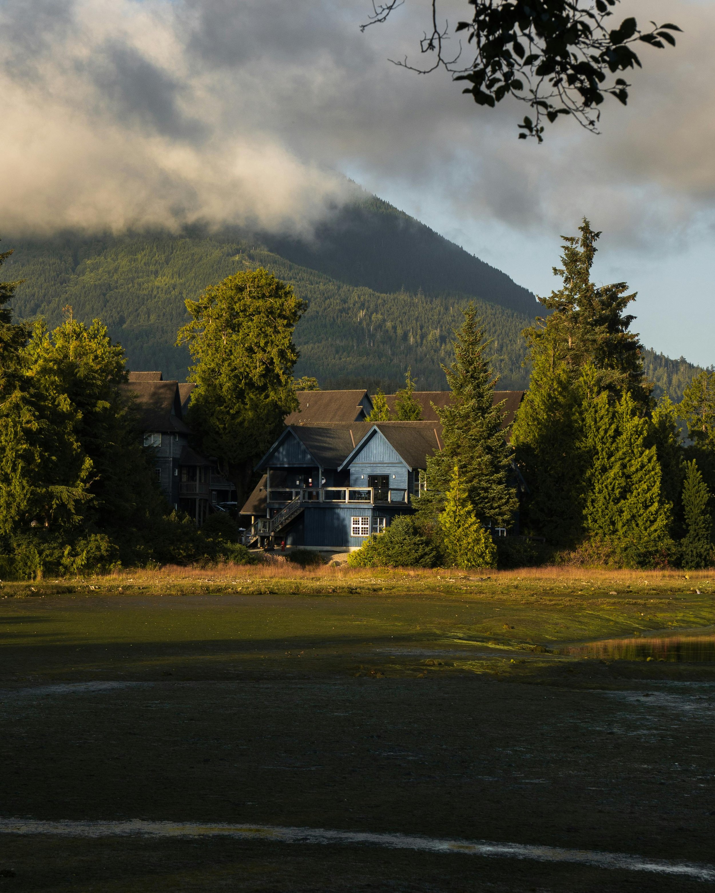 SELLING A HOME IN LANGLEY: A COMPLETE HOME SELLER’S GUIDE