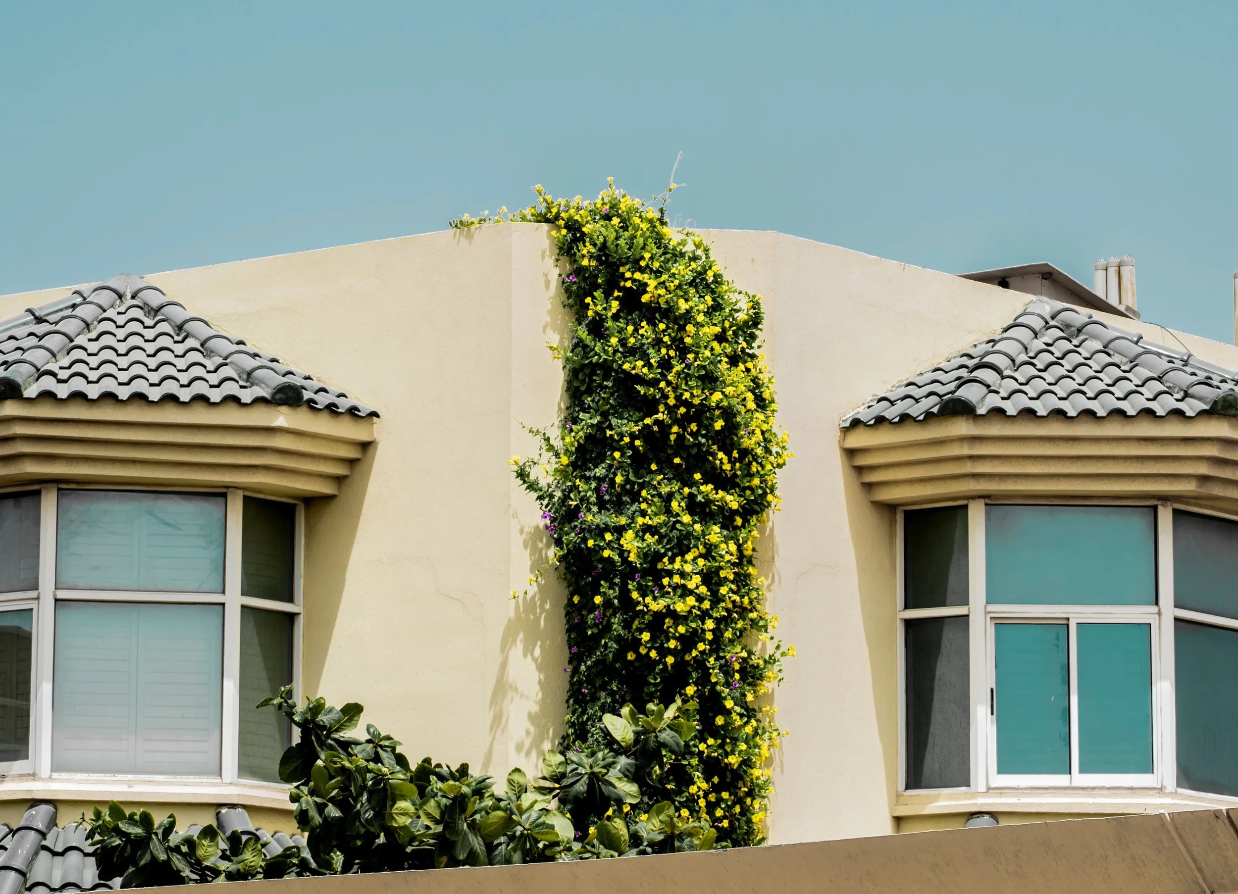 SELLING YOUR HOME IN A SLOW SUMMER MARKET | MAPLE RIDGE REAL ESTATE TIPS