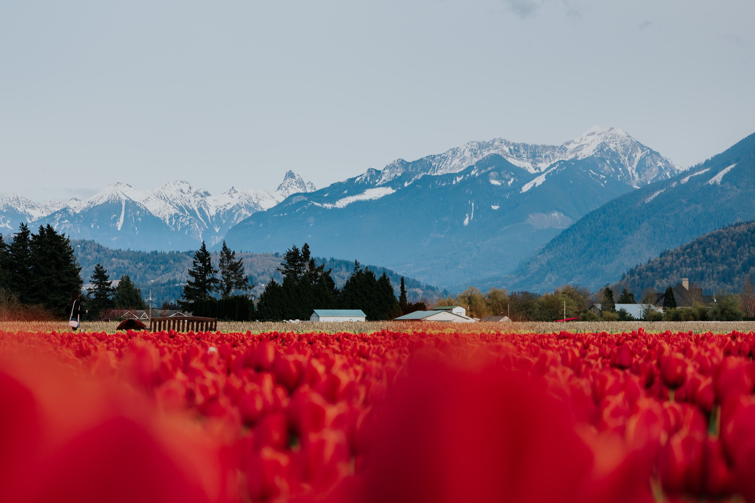 MAPLE RIDGE HOMES FOR SALE | MAPLE RIDGE REALTOR® | JUDITH VANDENBERG