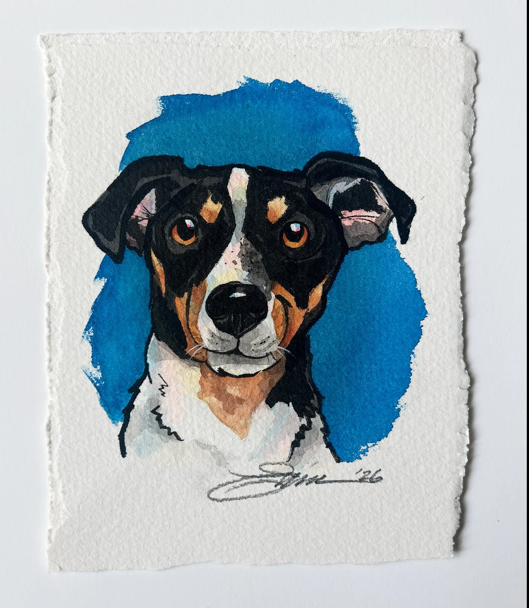 WC Pup sample.jpg