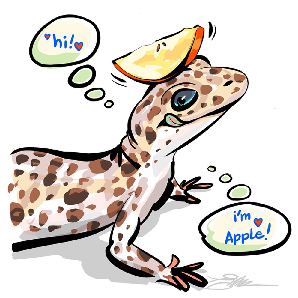 APPLE.jpg