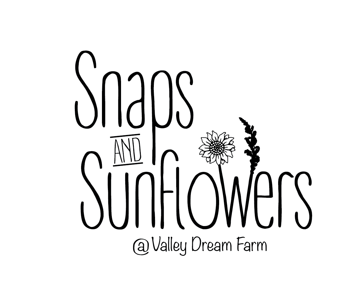Snaps and Sunflowers