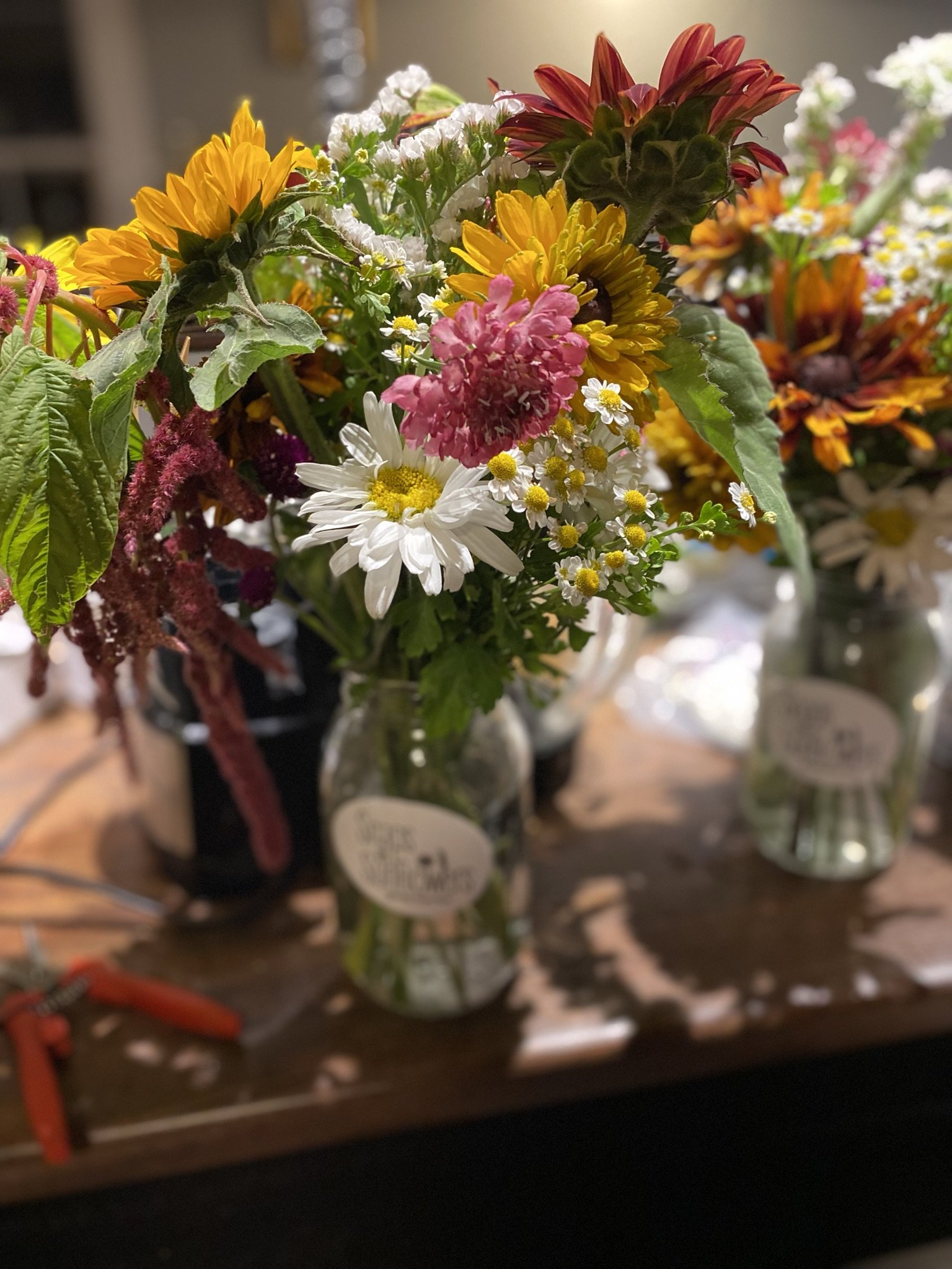IMG_4569.jpeg