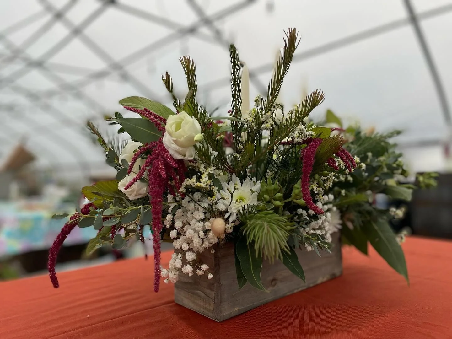 With all of this snow it&rsquo;s the perfect day to kick off our winter holiday arrangement sale, now live on the site! This year we&rsquo;re offering a variety of sizes to match styles and budgets. Flowers will be mainly whites and greens with some 