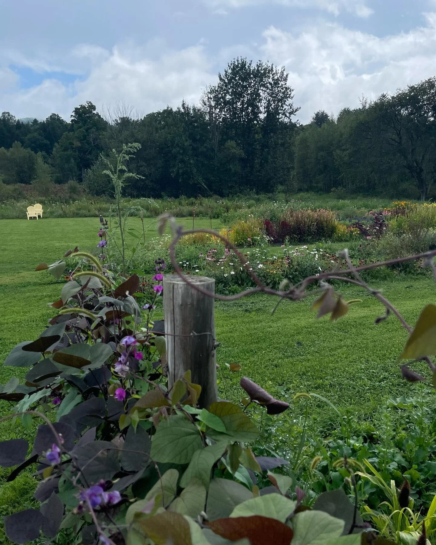 Happy Winter Solstice! Dreaming of long sunny days and everything that comes with them. 🫶🌿🌞