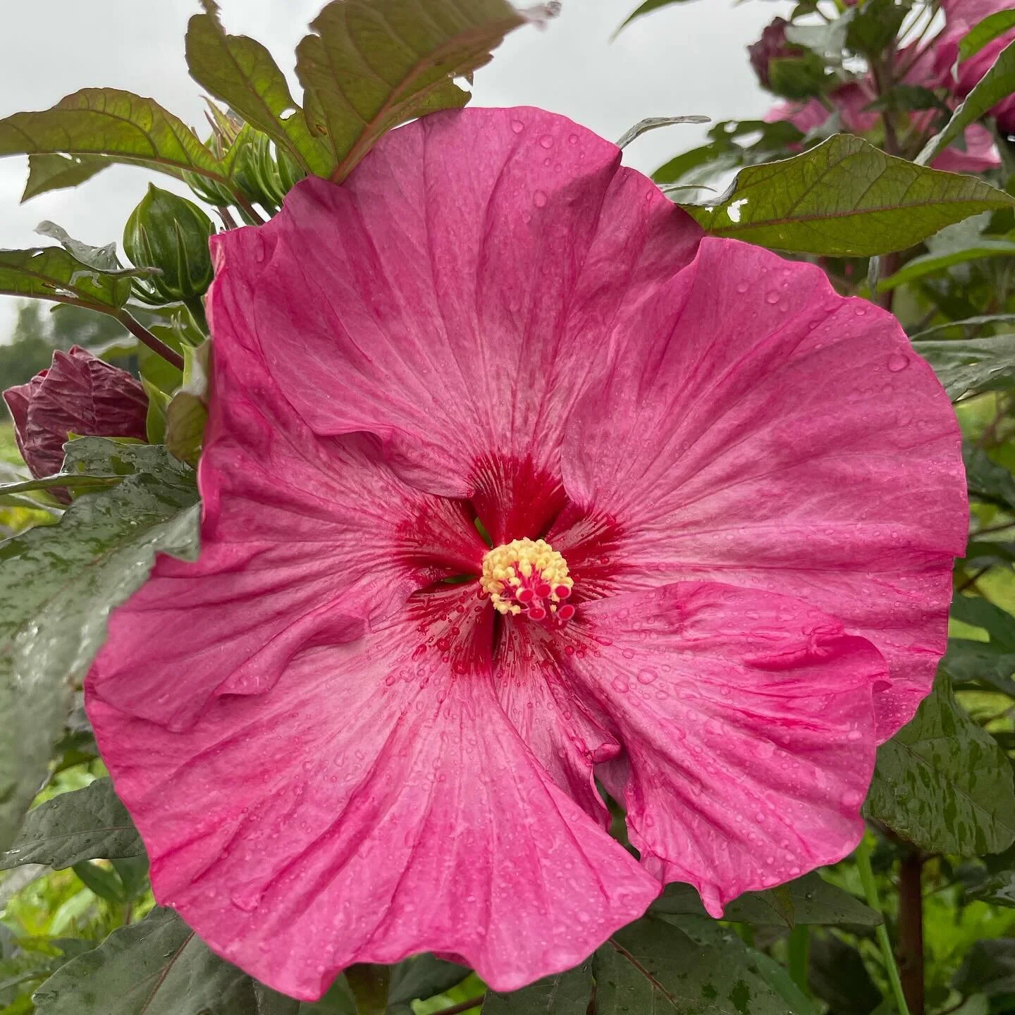 2024 goal: more flowers 🤓