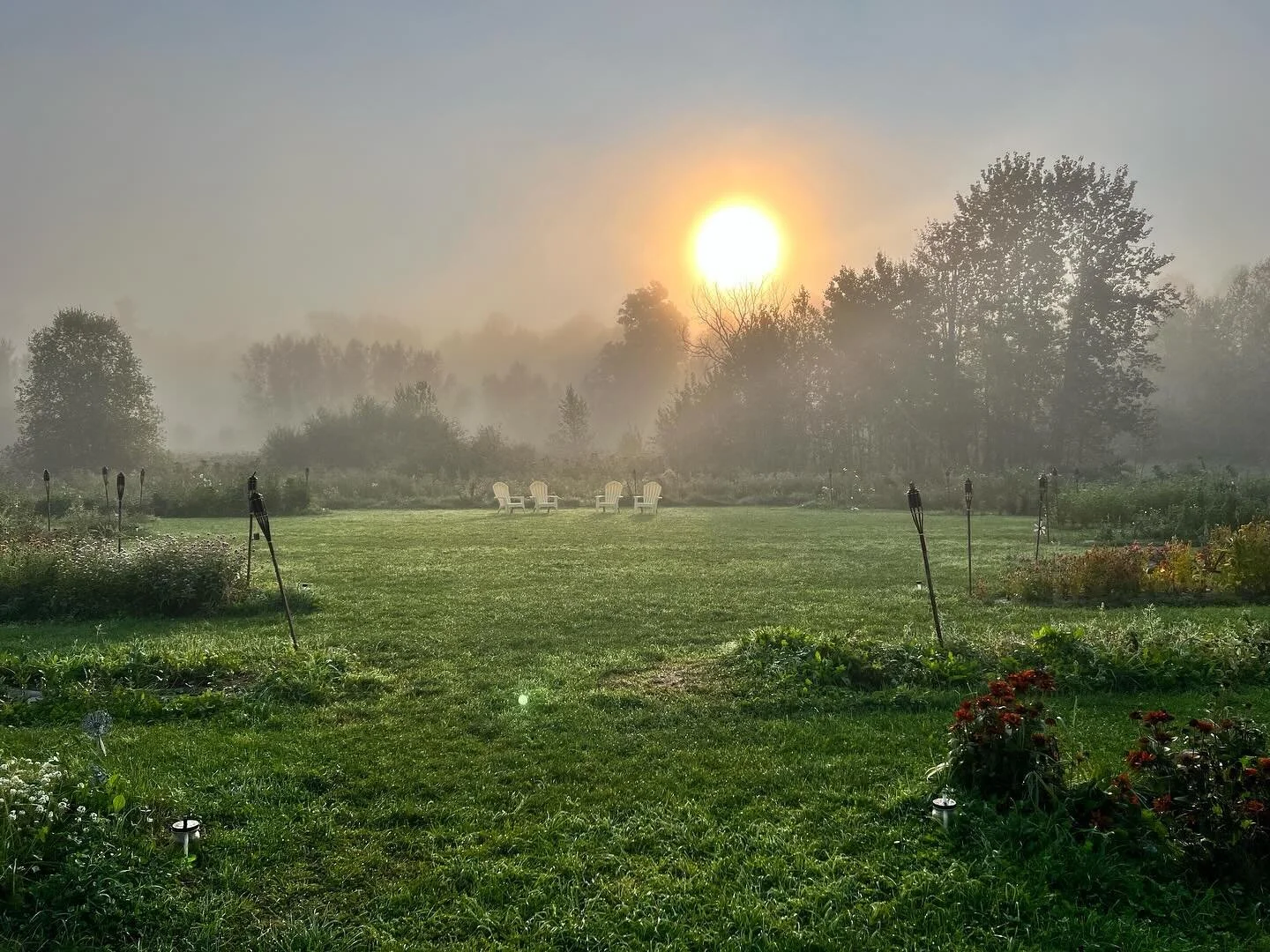 Happy Tuesday!! Just a few of my favorite quiet moments from 2023

#flowers #flowerfarm #flowerlovers #summervibes