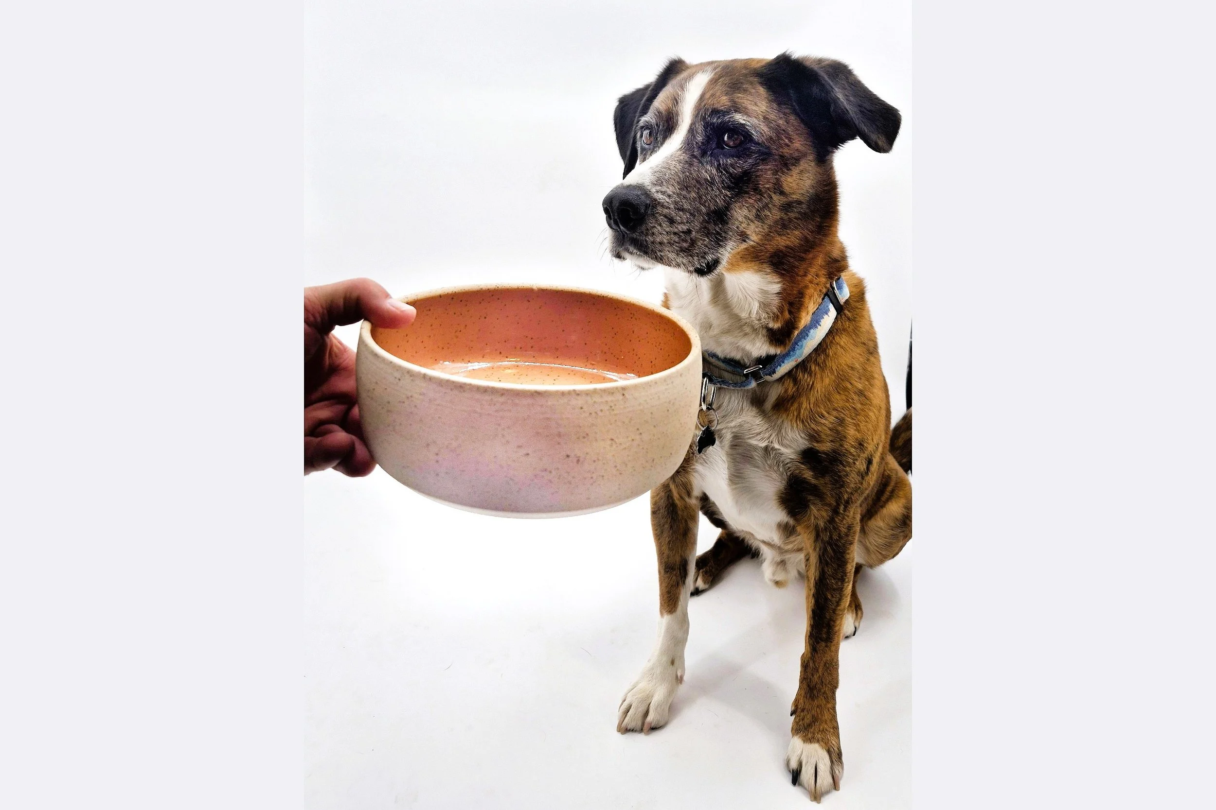 bisb with bowl swanky.jpg