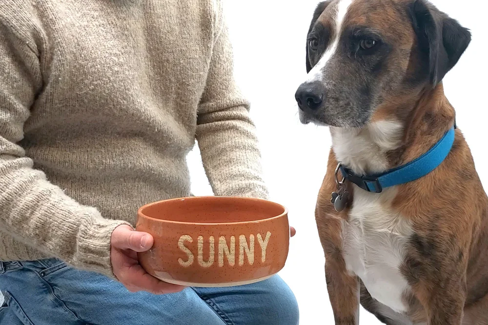 Slow Feeder Personalized Handmade Ceramic Dog Bowl  Swanky Ceramics