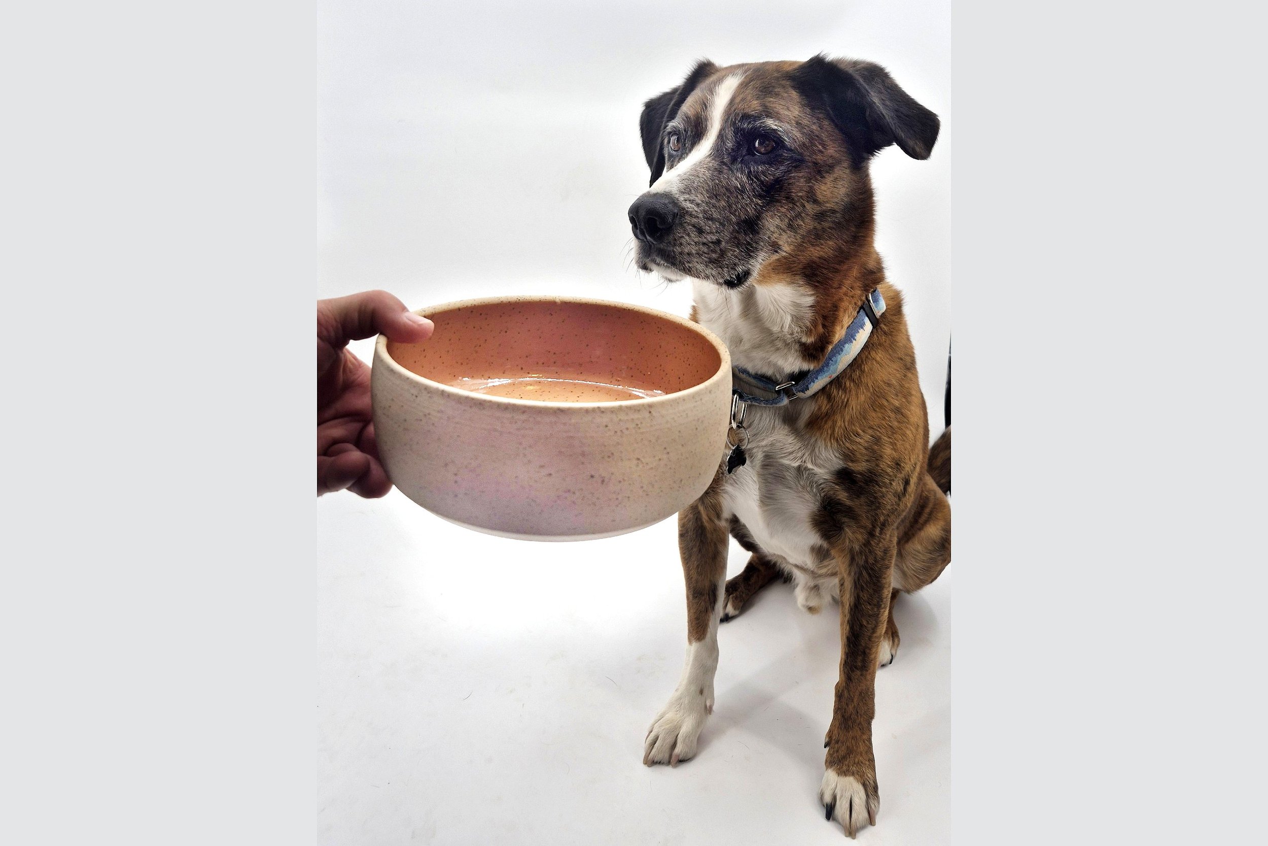 bisb with bowl swanky.jpg