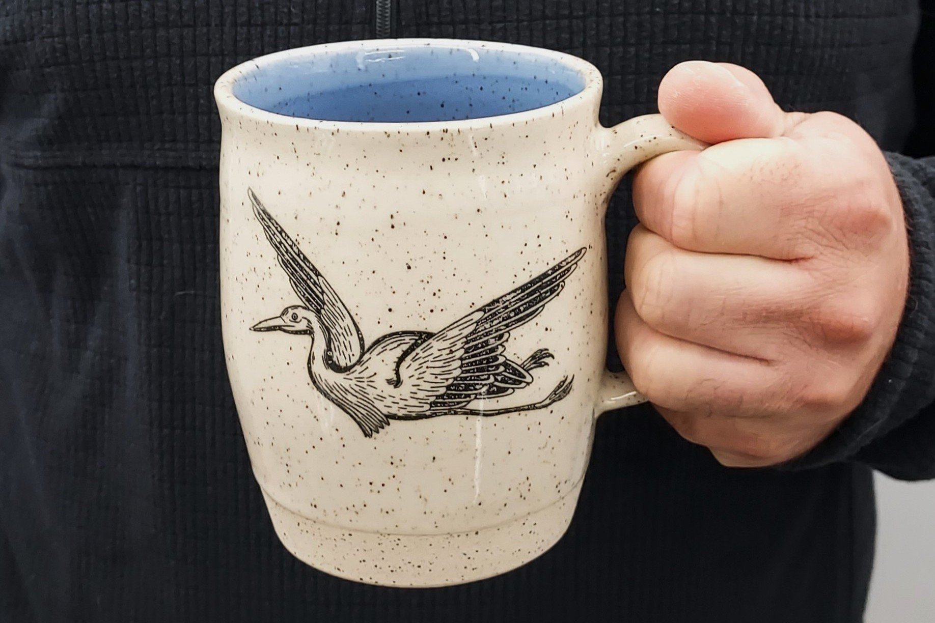 swanksy bird fly.jpg