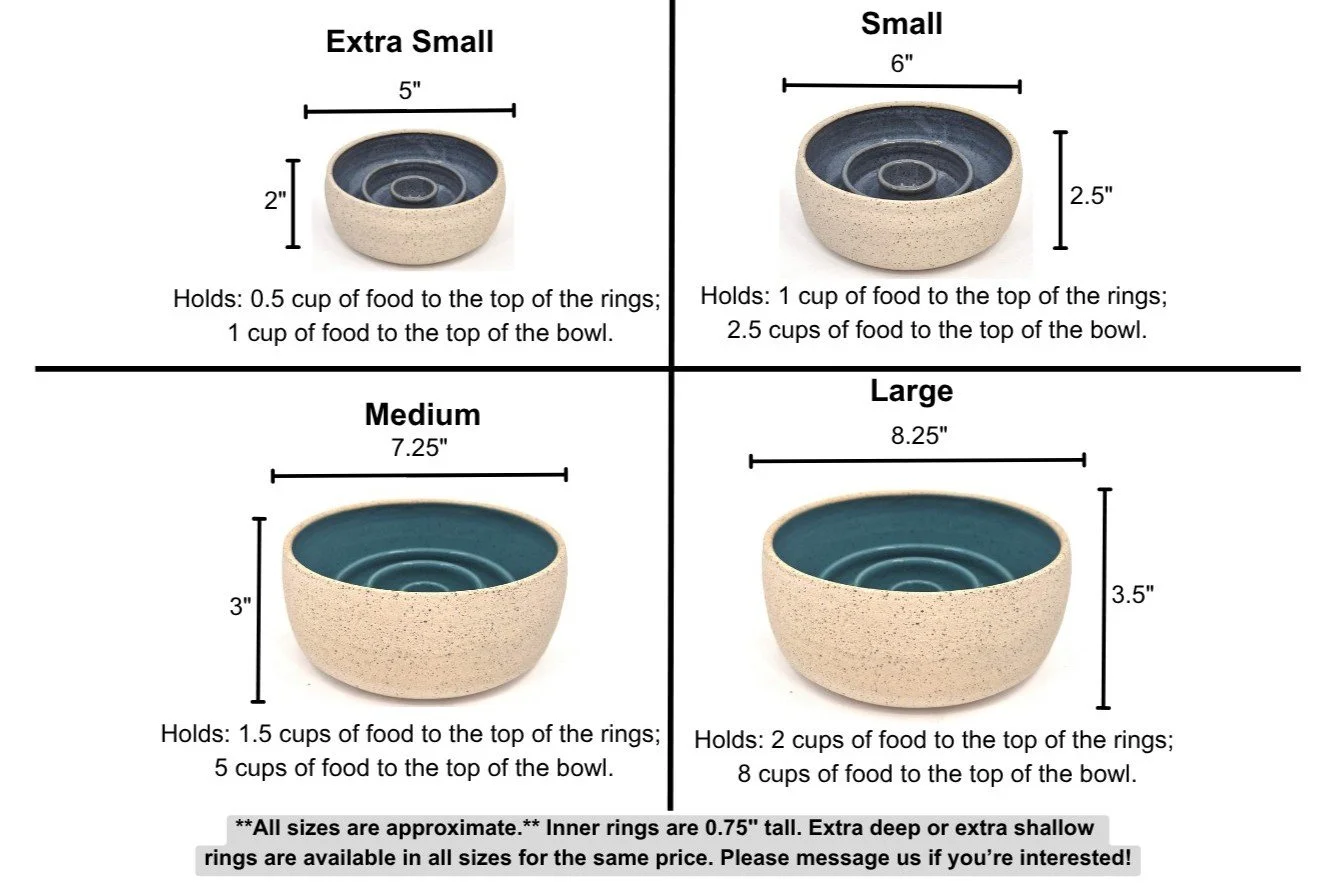swanky slow chart.jpeg