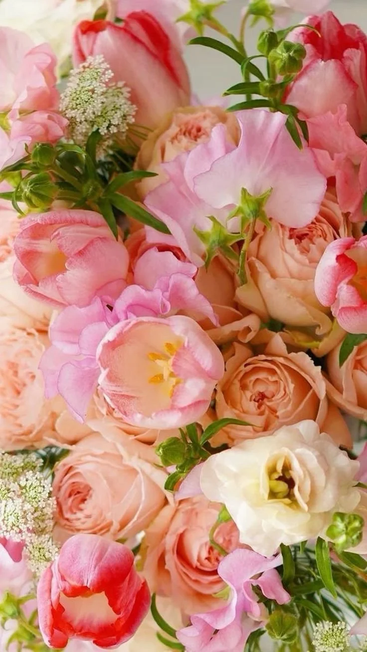 Close-up of seasonal pink flowers with soft petals and rich color variation