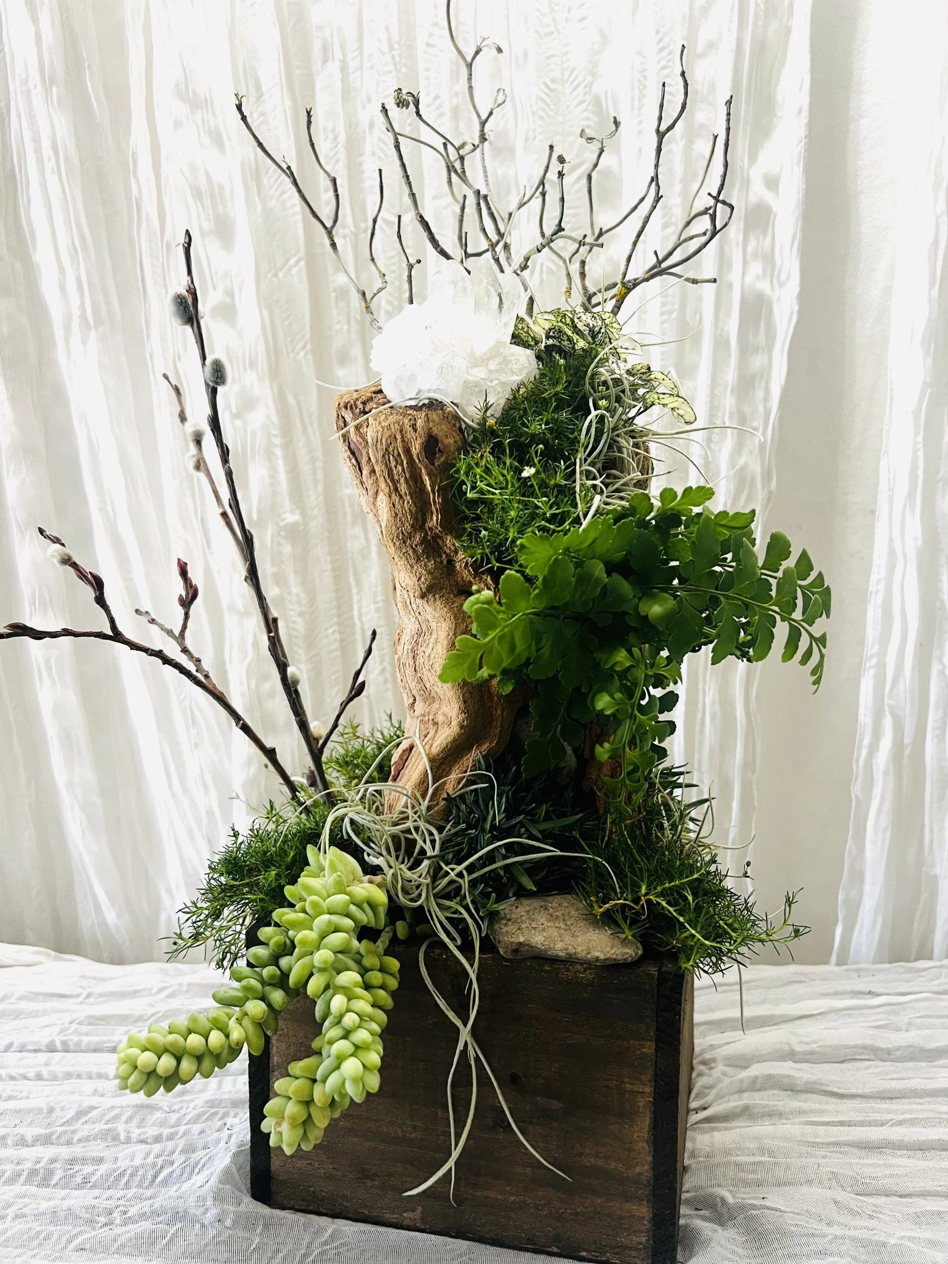 Living office desk planter in a natural wood box with blooming grasses, succulents, driftwood, Spanish moss, polka dot plants, and amethyst crystals by The Nature of Things Fine Flowers