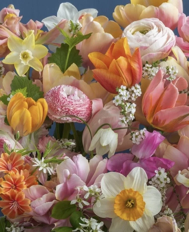 Designer's Choice $200