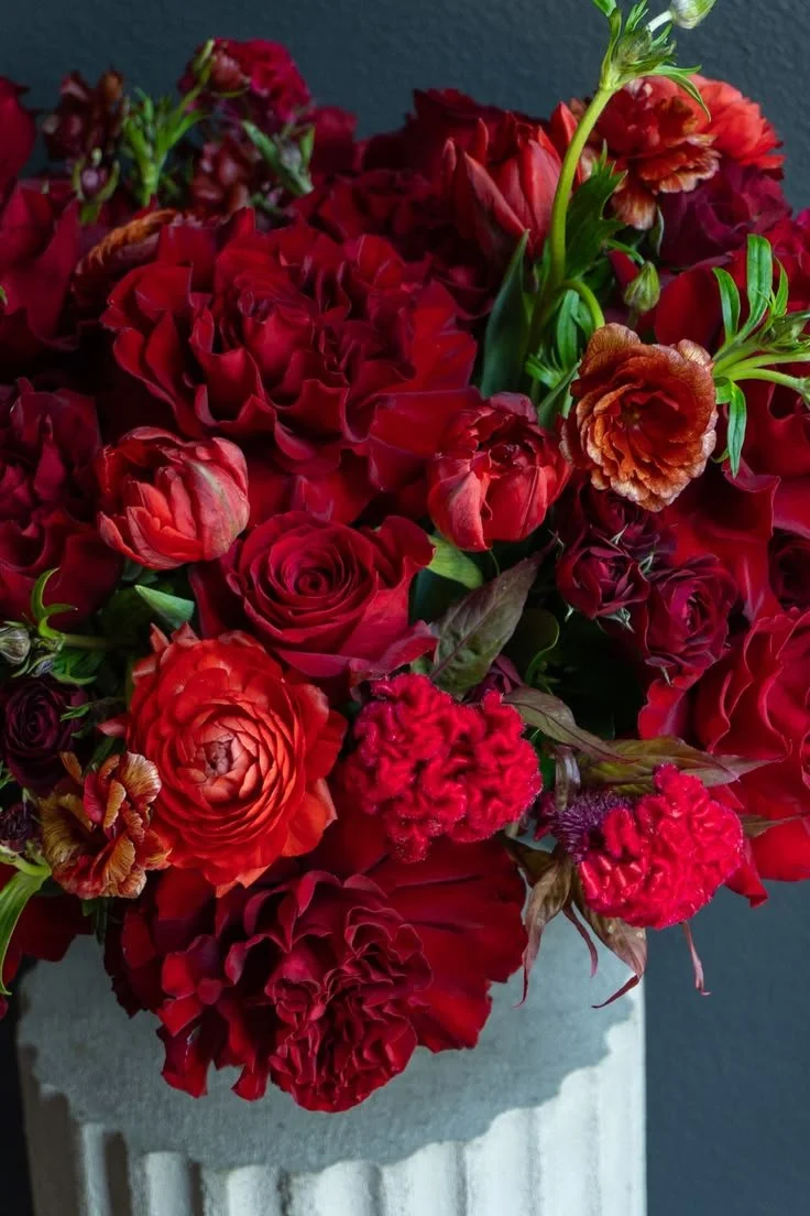 Close-up of fresh red flowers with velvety texture and deep color