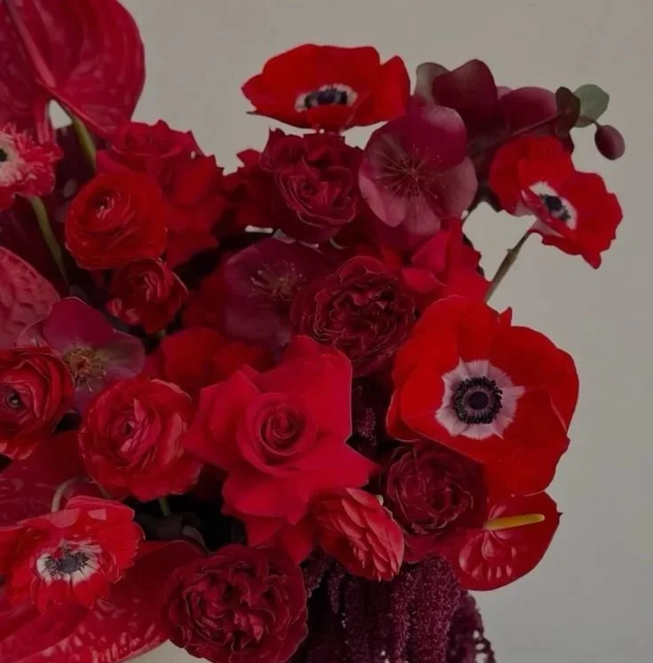 Close-up of deep red blooms with romantic tones and natural movement