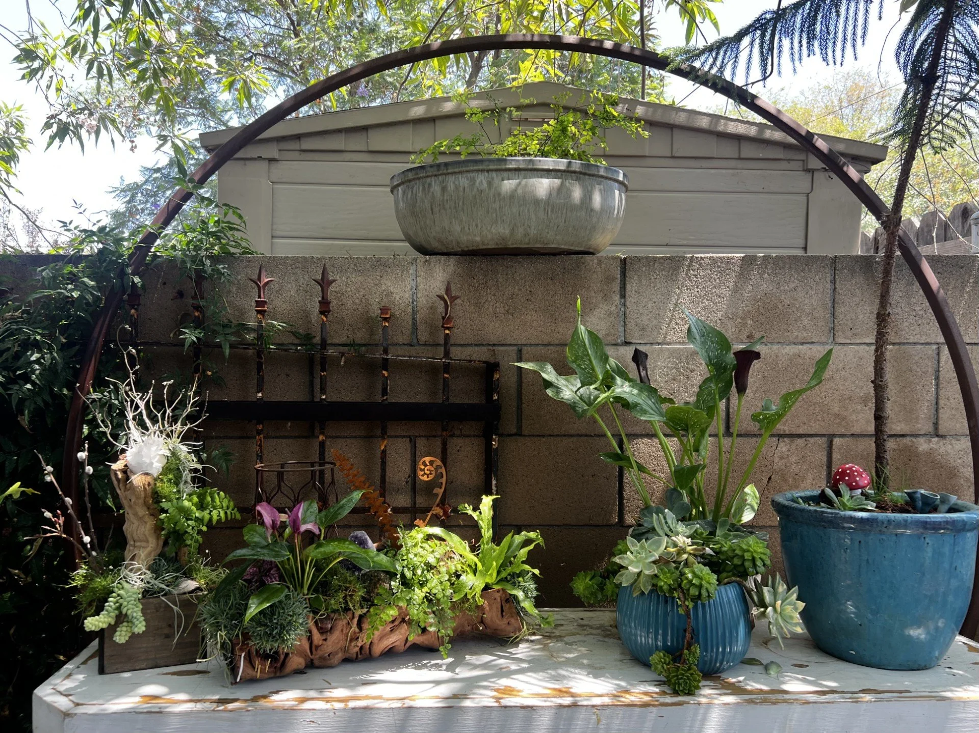 Nurture:  Enchanting Tabletop Gardens for Home &amp; Office by the nature of things in Riverside, California