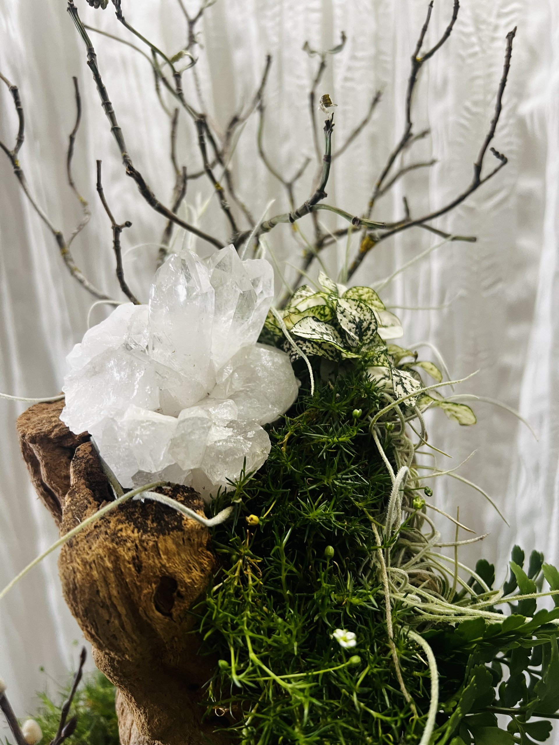Tabletop Gardens Delivered Gifts.jpeg