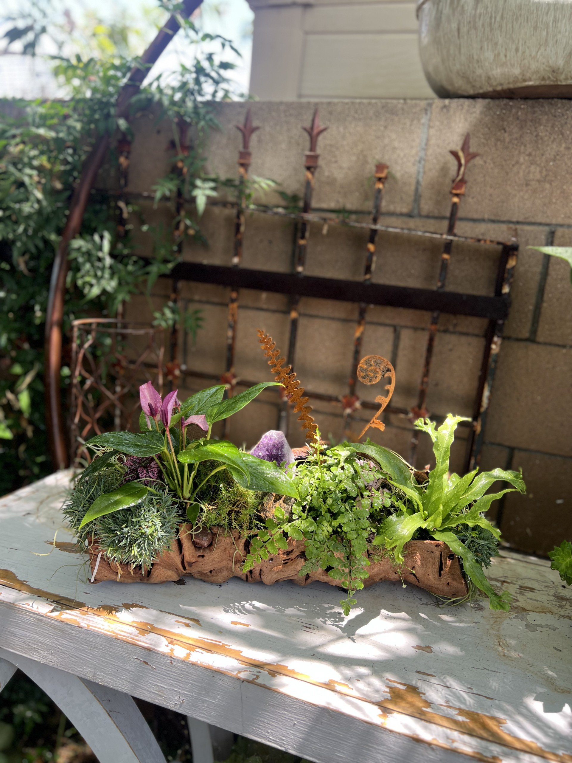 Tabletop Gardens delivered plants Southern California.jpeg