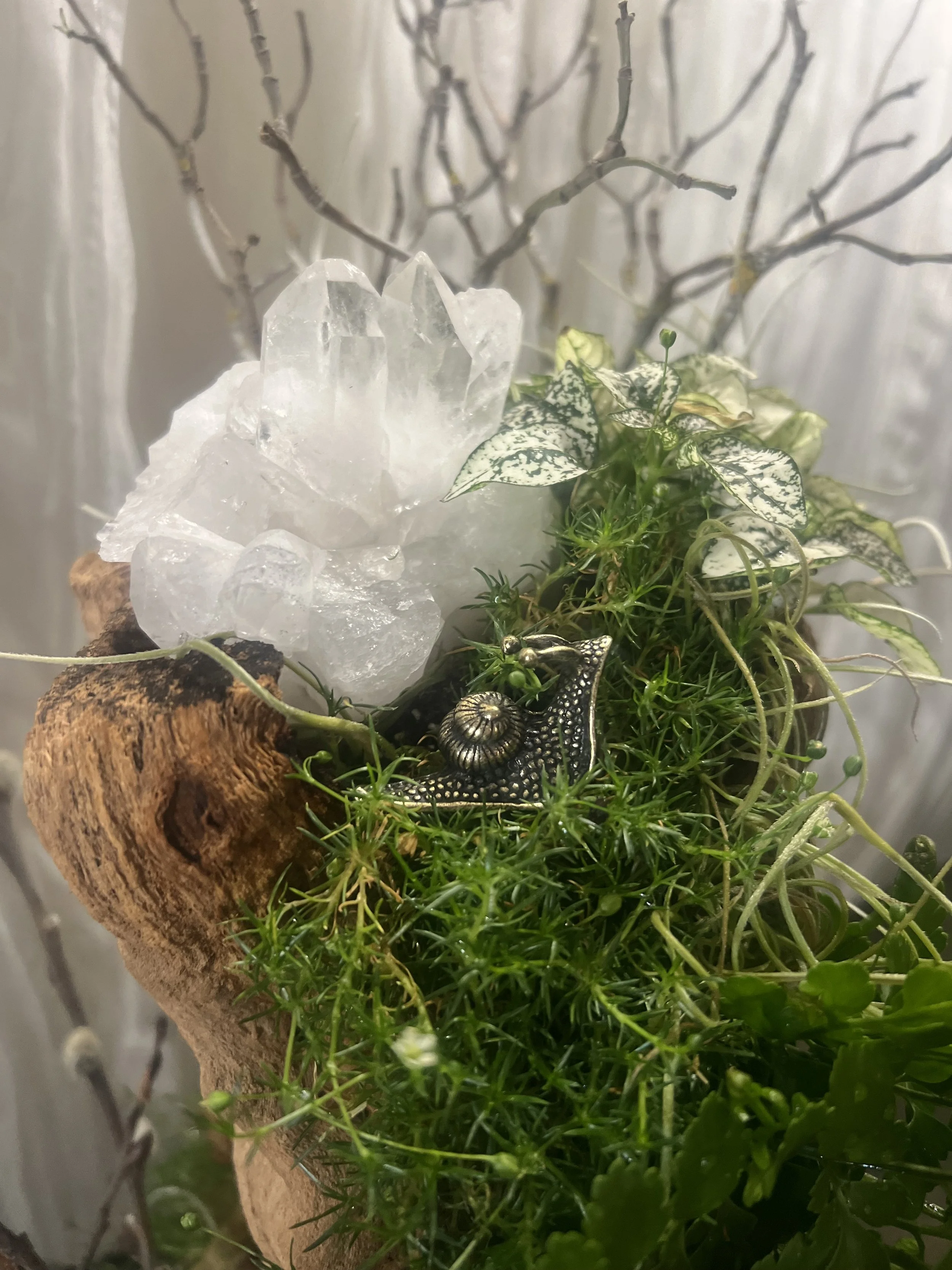 Miniature Landscapes with quartz.jpeg